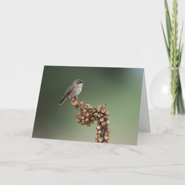 Kleiner Orange Hummingbird Karte (Vorderseite)