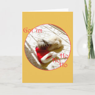 Kleiner Pekingese schnappt sich den Weihnachtsmann Feiertagskarte