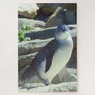 Kleiner Pinguin Puzzle