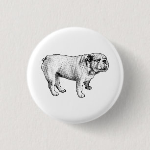 kleiner Punkt Freude, Bulldogge Button