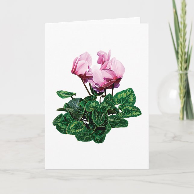 Kleiner rosa Cyclamen Feiertagskarte (Vorderseite)