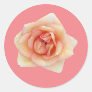 Kleiner Rosenaufkleber Runder Aufkleber