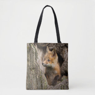 Kleiner Rotfuchs in einer Baumhöhle
