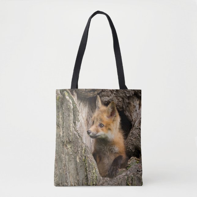 Kleiner Rotfuchs in einer Baumhöhle (Vorderseite)