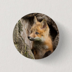 Kleiner Rotfuchs in einer Baumhöhle Button