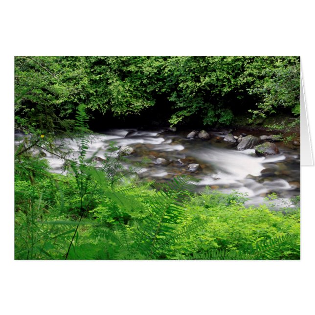 Kleiner Sandfluss und Ferne (Vorderseite (Horizontal))