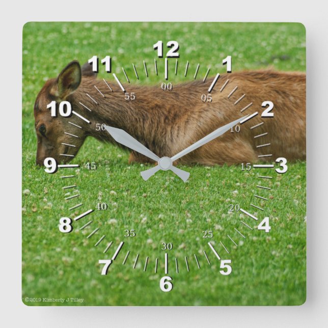 Kleiner Schlaf Quadratische Wanduhr (Vorderseite)