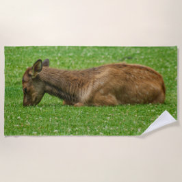 Kleiner Schlaf Strandtuch