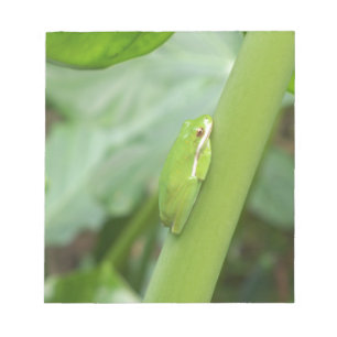 kleiner schlafender grüner Laubfrosch Notizblock