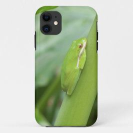 kleiner, schlafloser Grüner Frosch Case-Mate iPhone Hülle