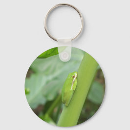 kleiner, schlafloser Grüner Frosch Schlüsselanhänger