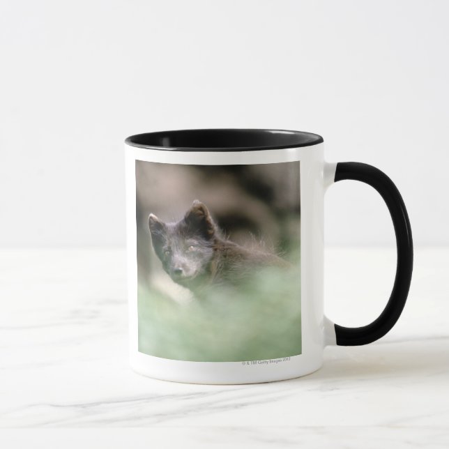Kleiner schwarzer Wolf Tasse (Rechts)