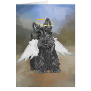 Kleiner Scottie Engel