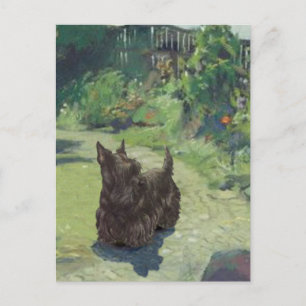 Kleiner Scottie im Garten Postkarte