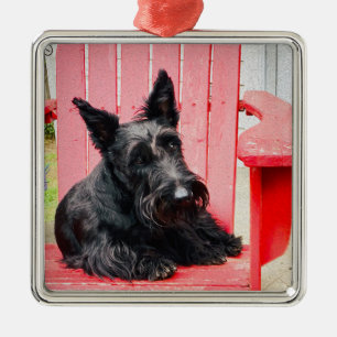 Kleiner Scottie in einem großen roten Stuhl Ornament Aus Metall