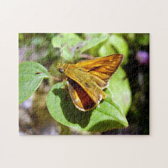 Kleiner Skipper Schmetterling Foto Puzzle mit Gesc (Horizontal)