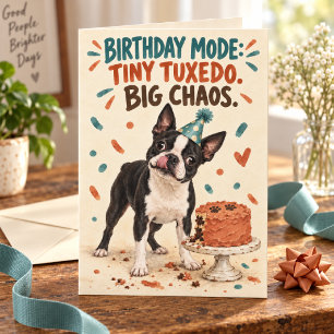 Kleiner Smoking, große Unordnung Boston Terrier Ge Karte