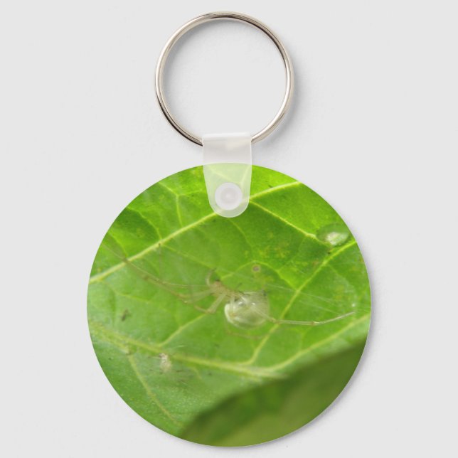 Kleiner Spider Schlüsselanhänger (Vorderseite)