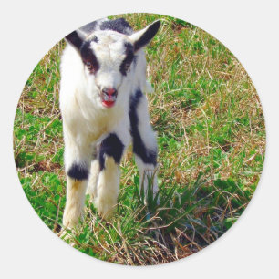 Kleiner Spot Runder Aufkleber