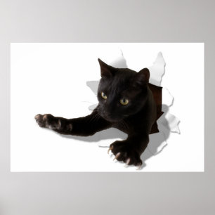 kleiner springender Panther Poster