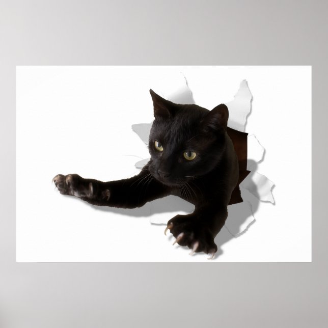 Kleiner Springpanther Poster (Vorne)