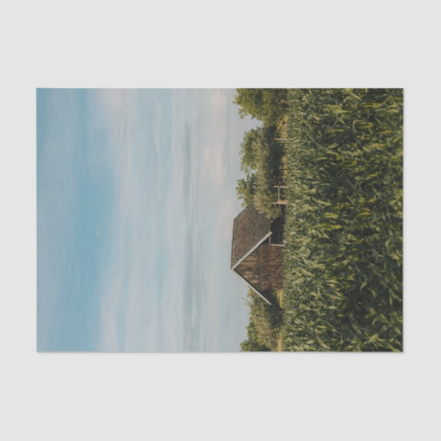 Kleiner Stall bis auf ein Cornfield Seidenpapier (Vorderseite)