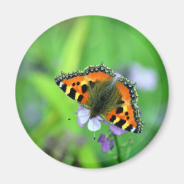 Kleiner Tortoiseshell Butterfly Magnet