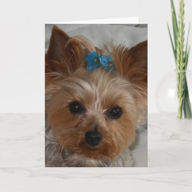 Kleiner Verbündeter Karte (Vorderseite)