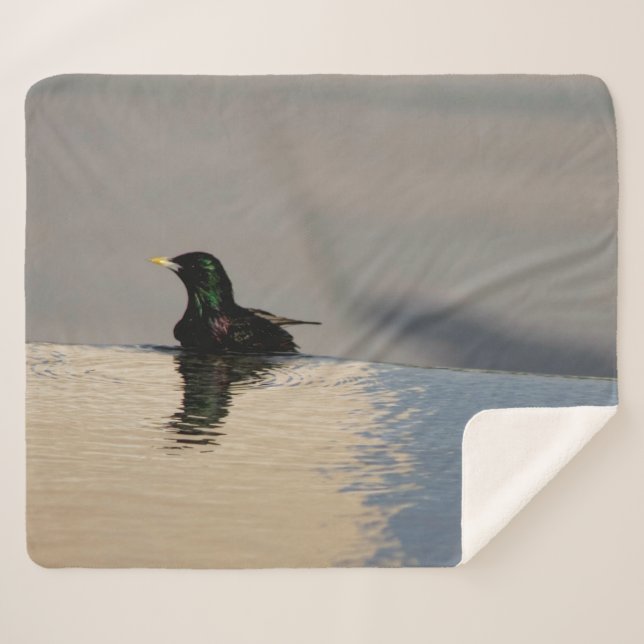 Kleiner Vogel im Wasser Sherpadecke (Vorderseite (Horizontal))