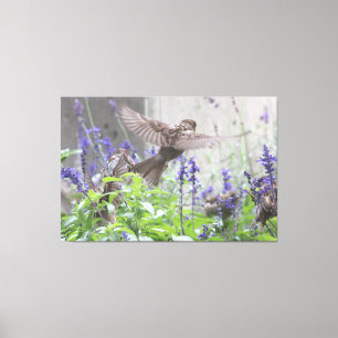 Kleiner Vogel in Lavender Leinwanddruck