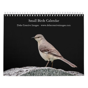 Kleiner Vogel (Singvogel) 2025 Kalender