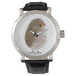 Kleiner Vogel unter der Uhr! Armbanduhr
