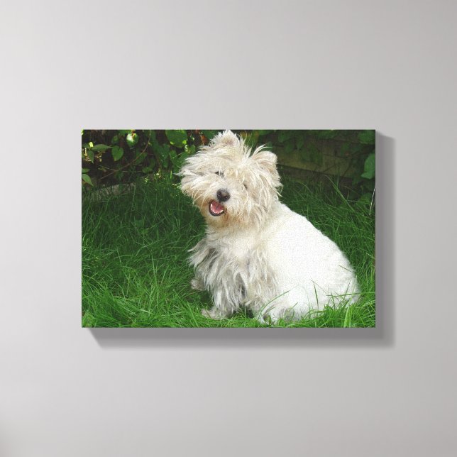 Kleiner weißer Hund auf Leinwand (Vorderseite)