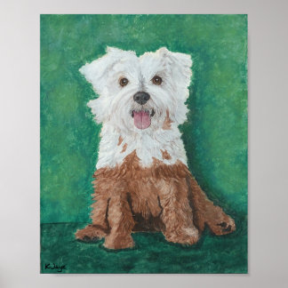 Kleiner weißer Hund nach dem Bad - Kunstdrucke Poster