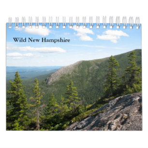 Kleiner wilder Wandkalender des New Hampshire-2013