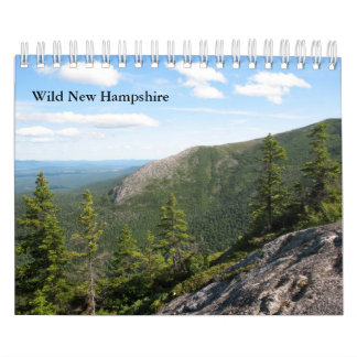 Kleiner wilder Wandkalender des New Hampshire-2013