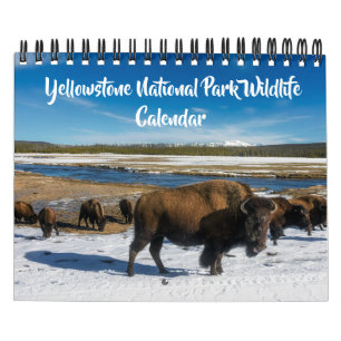 Kleiner Yellowstone-Kalender - Tierkalender Kalender