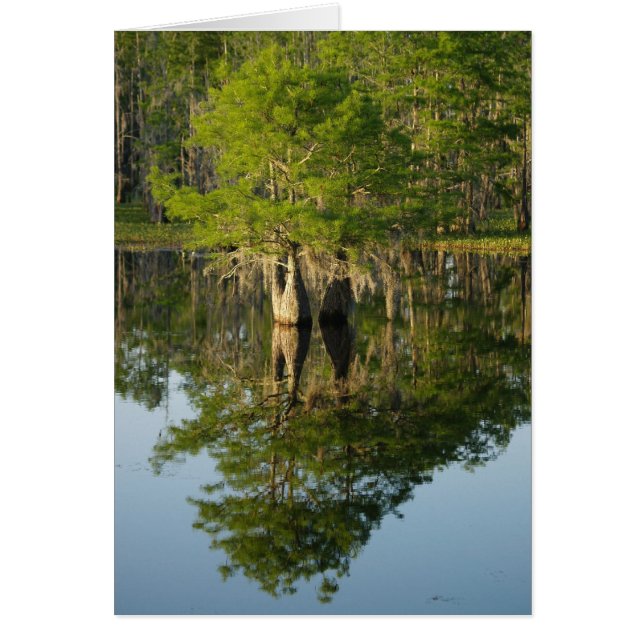 Kleiner Zyklus 1 (Vorne)