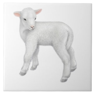 Kleines Baby-Lamm-kundengerechte Fliese