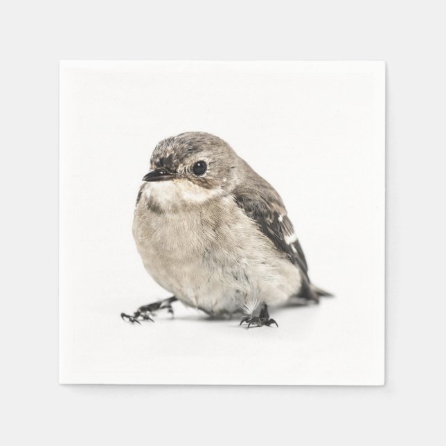 Kleines braunes Gartenvogel-Foto Serviette (Vorderseite)