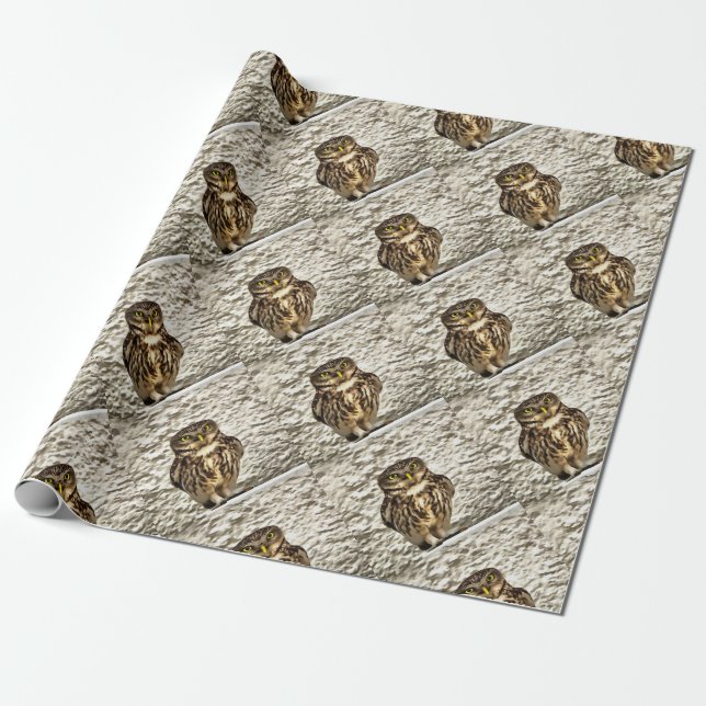 Kleines Brown Barn Owl Kunstportrait Geschenkpapier (Ungerollt)