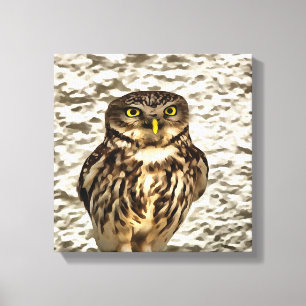 Kleines Brown Barn Owl Kunstportrait Leinwanddruck