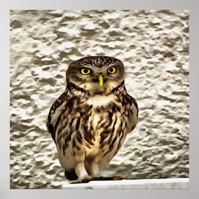 Kleines Brown Barn Owl Kunstportrait Poster (Vorne)
