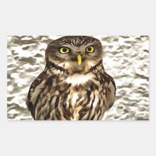 Kleines Brown Barn Owl Kunstportrait Rechteckiger Aufkleber