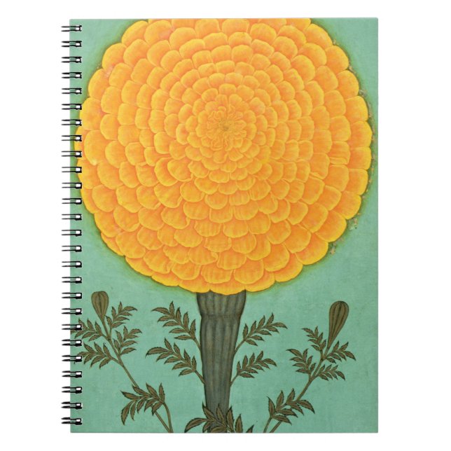 Kleines Clive Album | A Marigold Notizblock (Vorderseite)