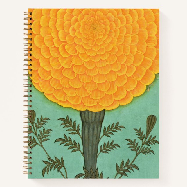Kleines Clive Album | A Marigold Notizbuch (Vorderseite)