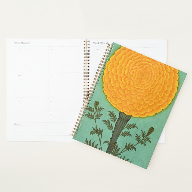 Kleines Clive Album | A Marigold Planer (Anzeige)