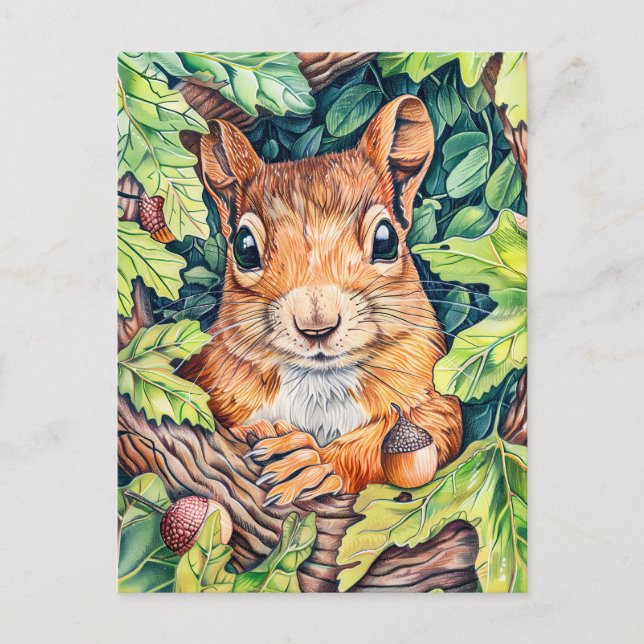 Kleines Eichhörnchen im Eichenbaum Postkarte (Vorderseite)