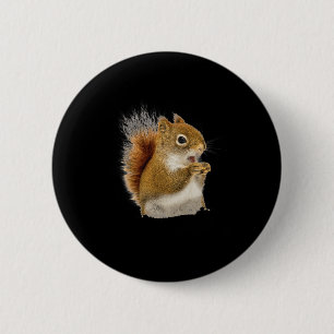 Kleines Eichhörnchen isst seine Nüsse Button