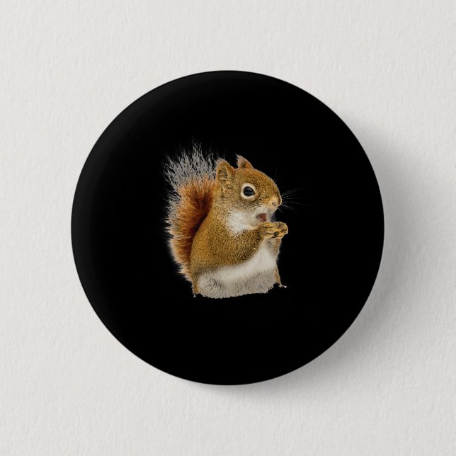 Kleines Eichhörnchen isst seine Nüsse Button (Vorderseite)